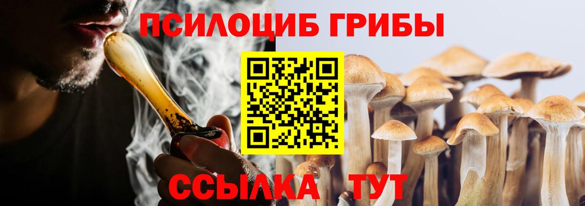 Псилоцибиновые грибы Magic Shrooms  Вход с VPN  Псилоцибиновые грибы Psilocybine cubensis  Ахтубинск 